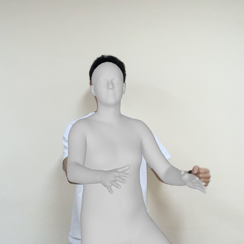 Hovered Image